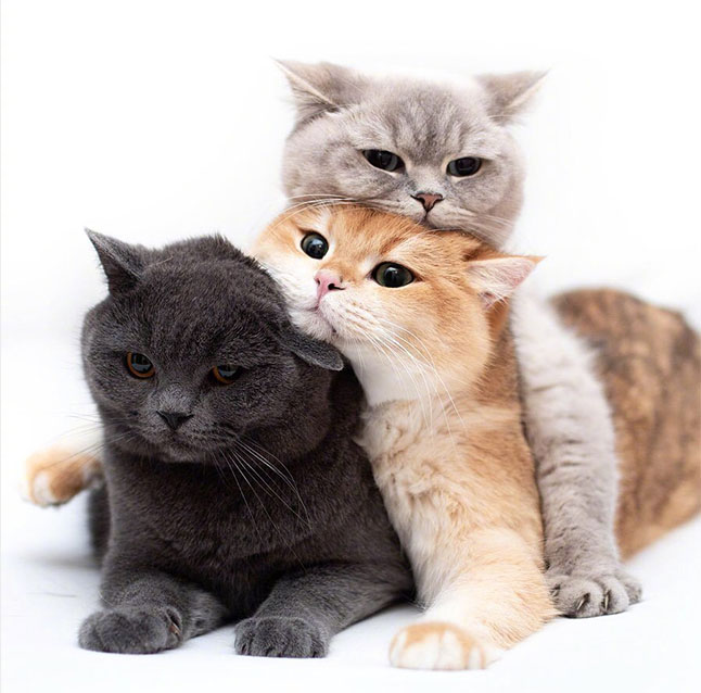 ؈�Zϵ��_�ʝɼ��Z�ь�����Ʒ���޹�˾