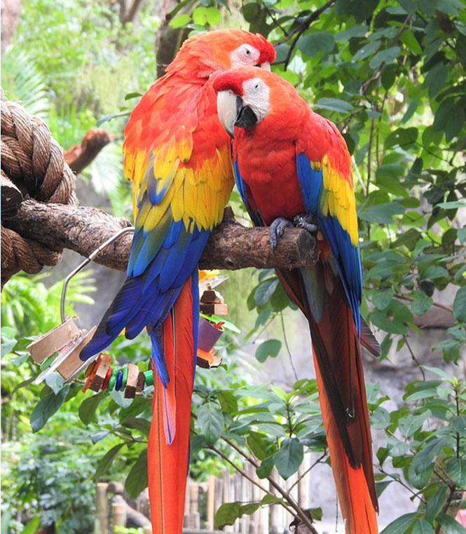 �B(ni��o)�Zϵ��_�ʝɼ��Z�ь�����Ʒ���޹�˾