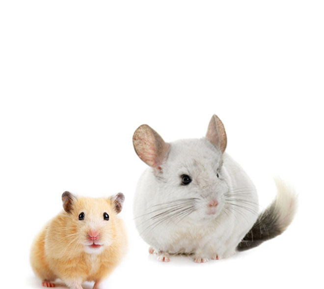 С��ϵ��_�ʝɼ��Z�ь�����Ʒ���޹�˾