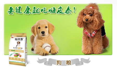 �������Z