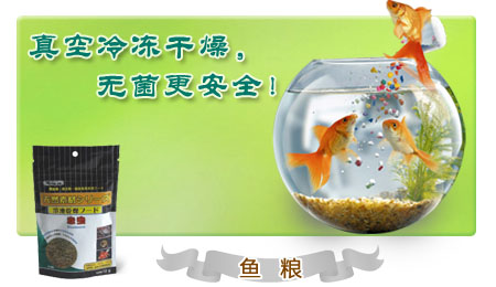 ��ȫ�����~�Z