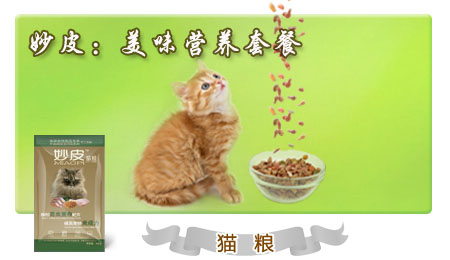 �I(y��ng)�B(y��ng)؈�Z