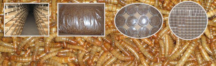 �P(gu��n)�ںʝɼ��Z�ь�����Ʒ���޹�˾