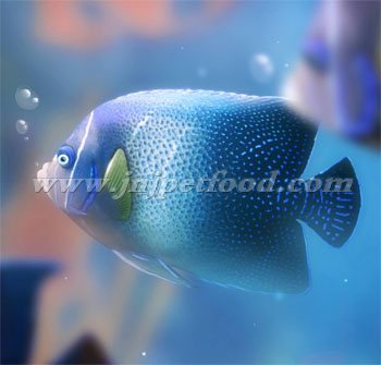 ���Z�ѽ����~�Z