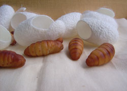 ���x��������