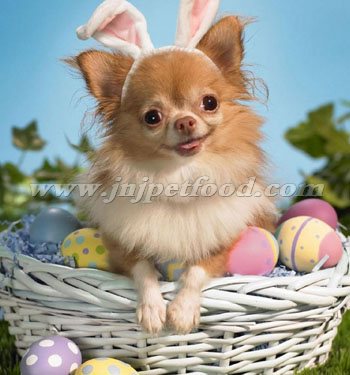 ���Z�ѹ��Z����ȫ�����I�B(y��ng)