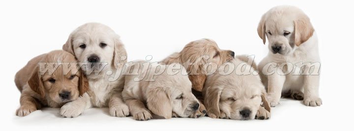 С������B(y��ng)�֪