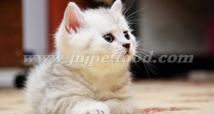 С؈�����_��B(y��ng)����