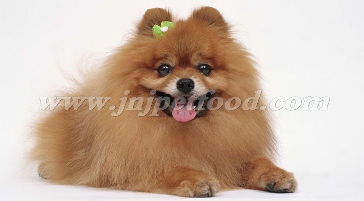 ���칷����ë��ô�k