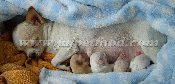 ��������֪����Ȯ��B(y��ng)����