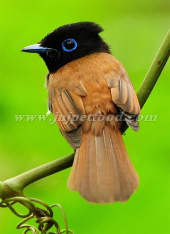 �����đِۡ����P(gu��n)���B�Z