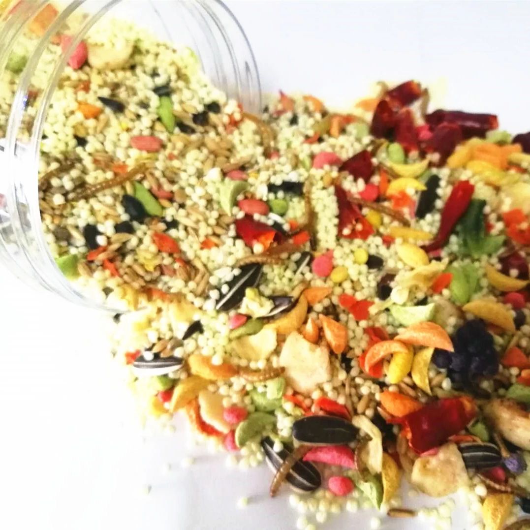 �����W�^�Z