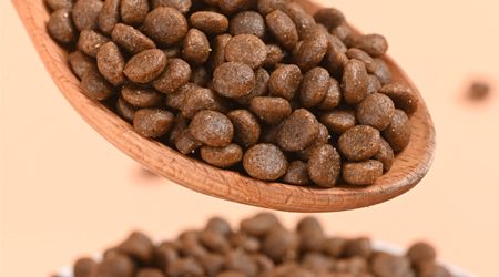 ����ɭ؈�Z-�����~�����L(f��ng)ζ