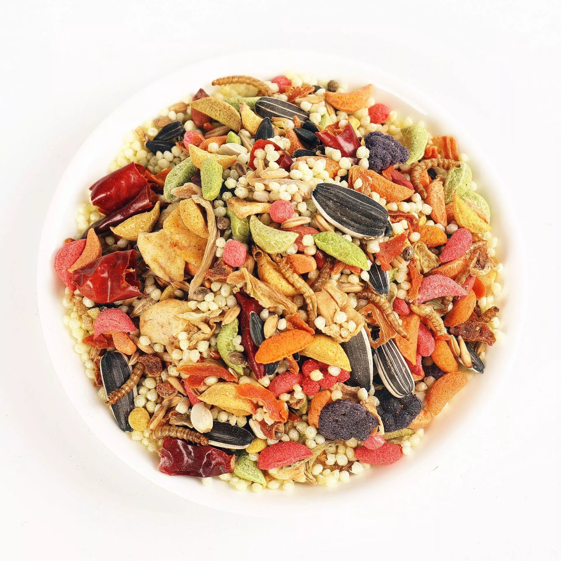 �����W�^�Z