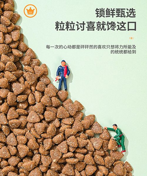 ����ɭȮ�Z-��������ϵ��